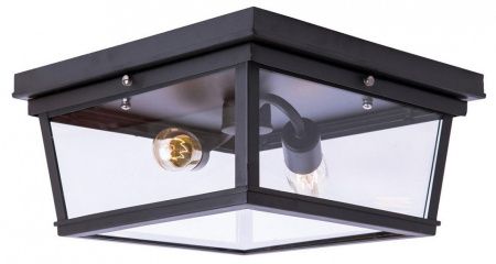 Накладной светильник Loft it Modern Filament LOFT3110-2C