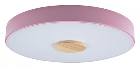 Накладной светильник Loft it Axel 2 10003/24 Pink