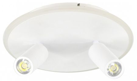 Светильник на штанге Escada 20046LED 20046SMA/02LED WH