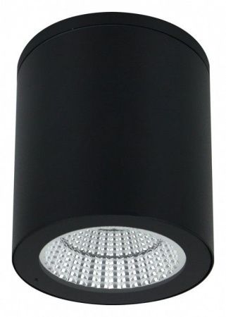 Накладной светильник Arte Lamp A1813 A1813PF-1BK