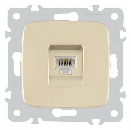 Розетка Ethernet RJ-45 без рамки Arte Milano am-205 205.45-1.shampan