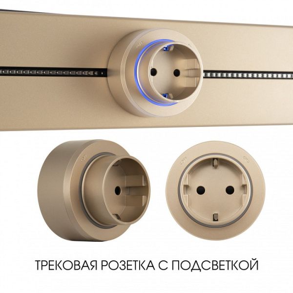 Розетка с заземлением на треке Arte Milano Am-track-sockets-39 397951TS/ES Gold от Arte Milano