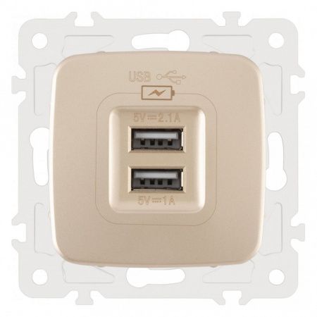 Розетка USB, без рамки Arte Milano am-205 205.46-1.shampan