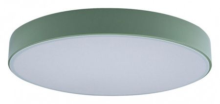 Накладной светильник Loft it Axel 1 10002/24 Green