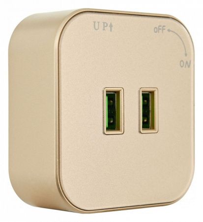 Розетка 2xUSB на треке Arte Milano Am-track-sockets 380022TS/USBx2 Gold