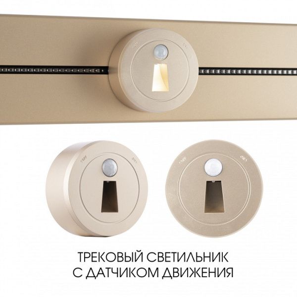 Накладной светильник Arte Milano Am-track-sockets-39 397953TLS/LWS Gold от Arte Milano