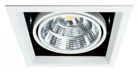 Встраиваемый светильник Arte Lamp Merga A8450PL-1WH