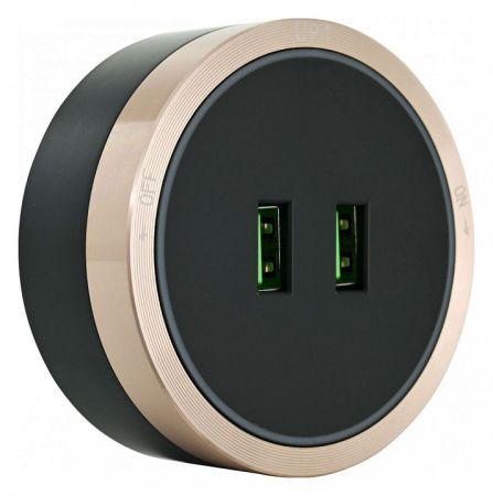 Розетка 2xUSB на треке Arte Milano Am-track-sockets 380066TS LED/USBx2 Gold