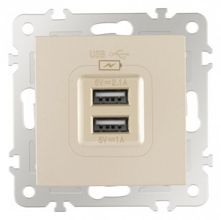 Розетка USB, без рамки Arte Milano am-206 206.46-1.shampan