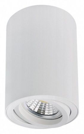 Накладной светильник Arte Lamp Sentry A1566PL-1WH